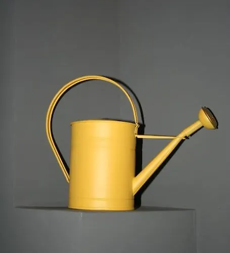 Szimpla-synagogue-kazinczy Str